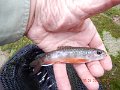 $Stone Cabin035$