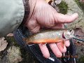 $Stone Cabin040$