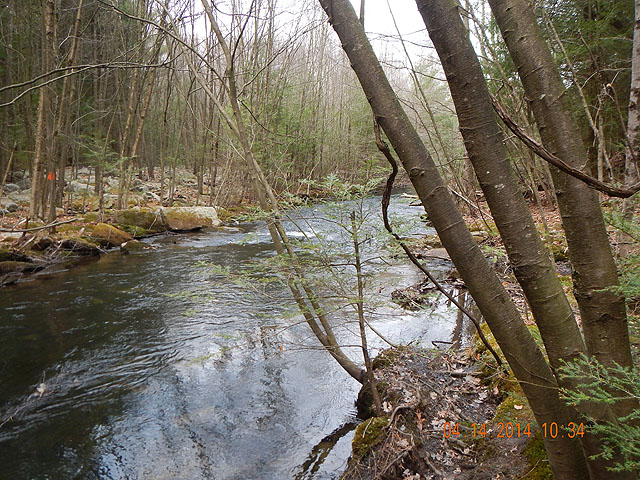 DSCN0458.jpg -                                Stoney is a beautiful stream.