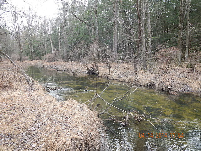DSCN0461.jpg -                                We got fish here but it looks like it will warm up in the summer.