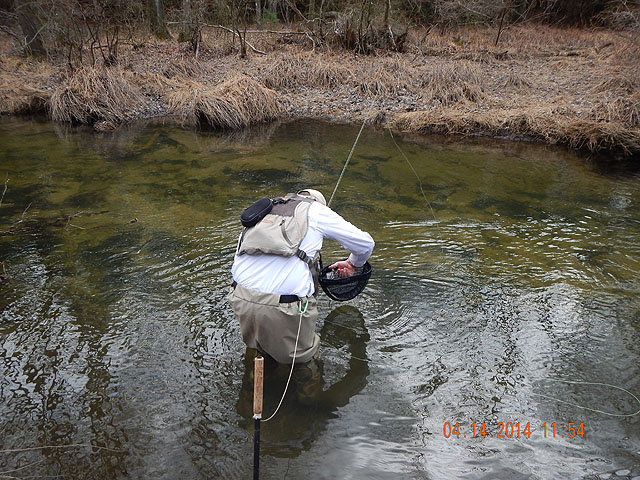 DSCN0462.jpg -                                Gary E. getting the hook out.