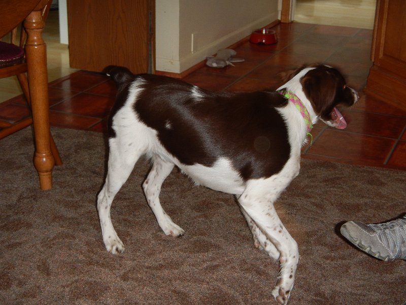 DSCN0284.JPG - Getting into mischief (6 mos)