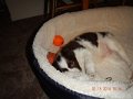 DSCN0378