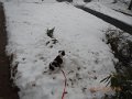 DSCN0396