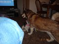 DSCN0398