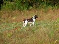 DSCN0534