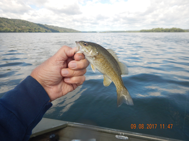 DSCN2563.jpg -                                Was only on the river for about two hours but I did pretty well.