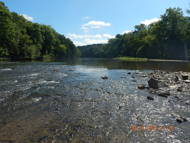 DSCN1612.jpg -                                This is a beautiful creek though.  Gotta learn more about it.