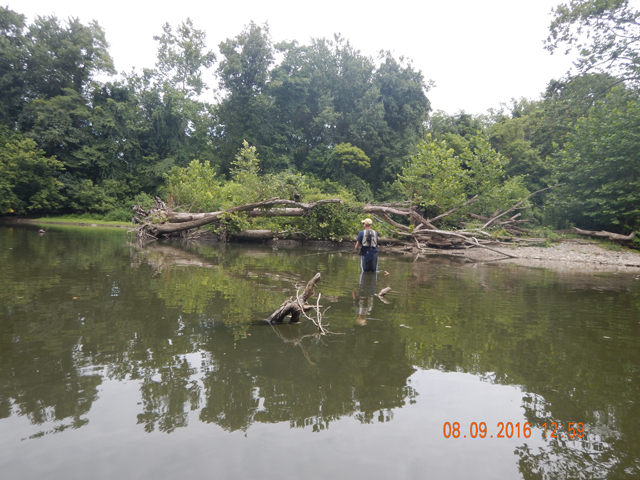 DSCN1602.jpg -                                Gary found a honey hole.  We both had more than a couple hooked here...and most lost.