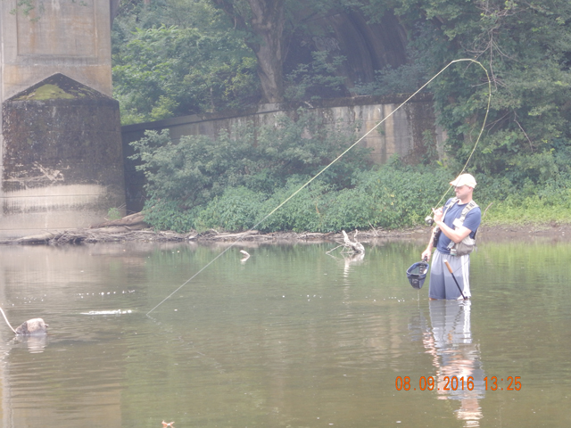 DSCN1606.jpg -                         Was destined to come to the net.       