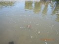 DSCN1664