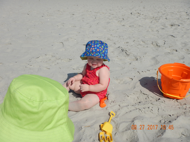 DSCN2387.jpg -                                