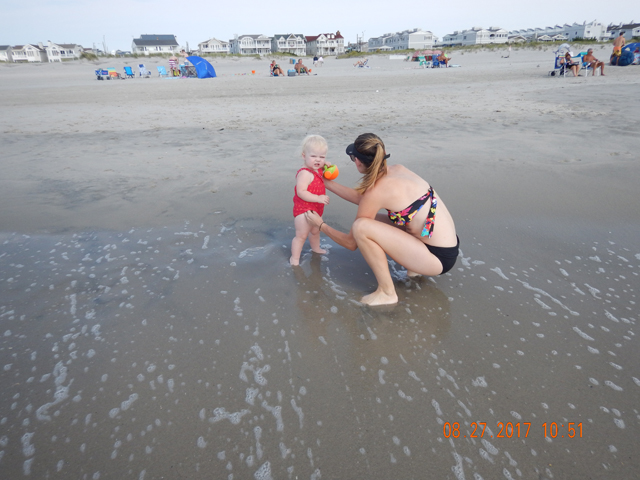 DSCN2390.jpg -                                