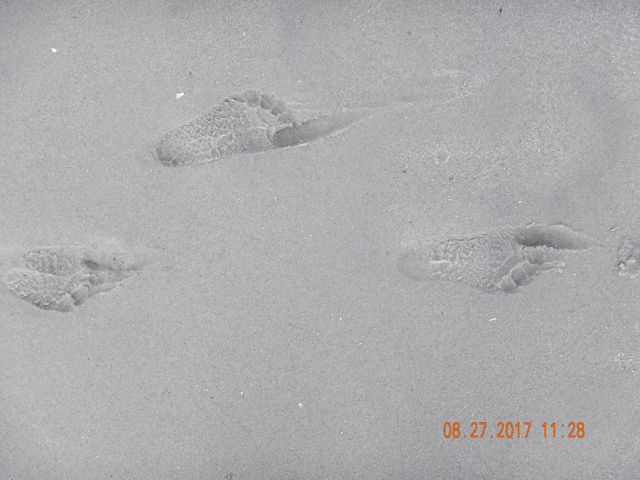 DSCN2409.jpg -                                