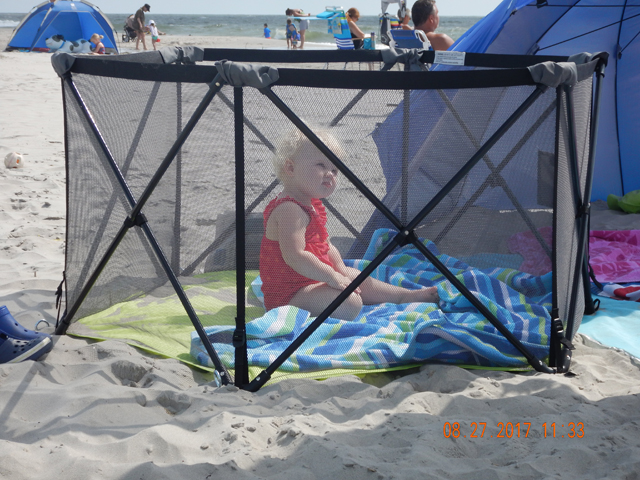 DSCN2413.jpg -                                
