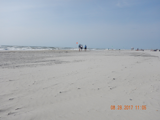 DSCN2434.jpg -                                