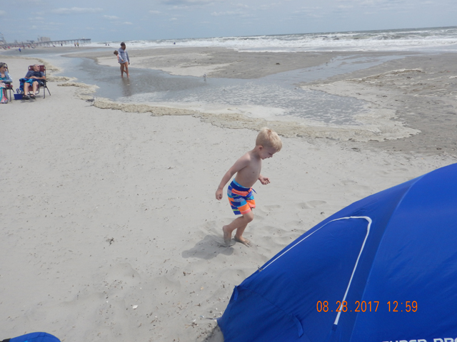 DSCN2439.jpg -                                