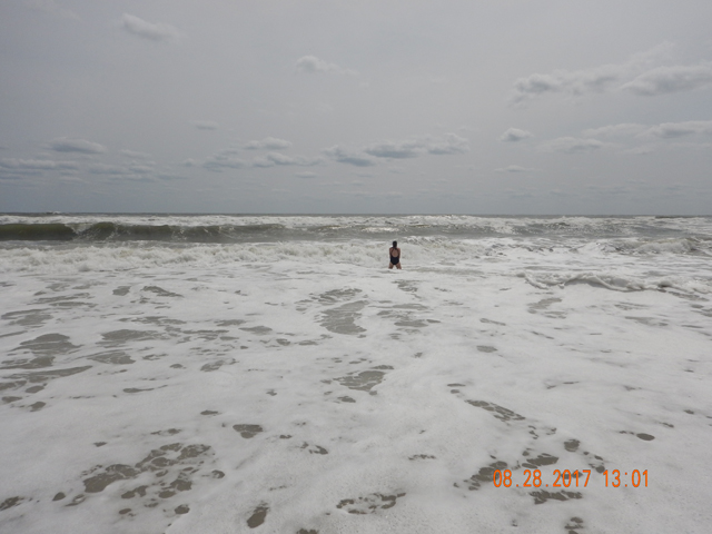 DSCN2441.jpg -                                