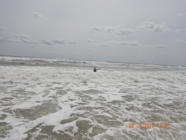 DSCN2442.jpg -                                
