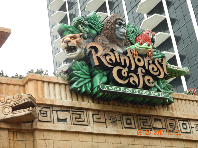 DSCN2460.jpg -                                