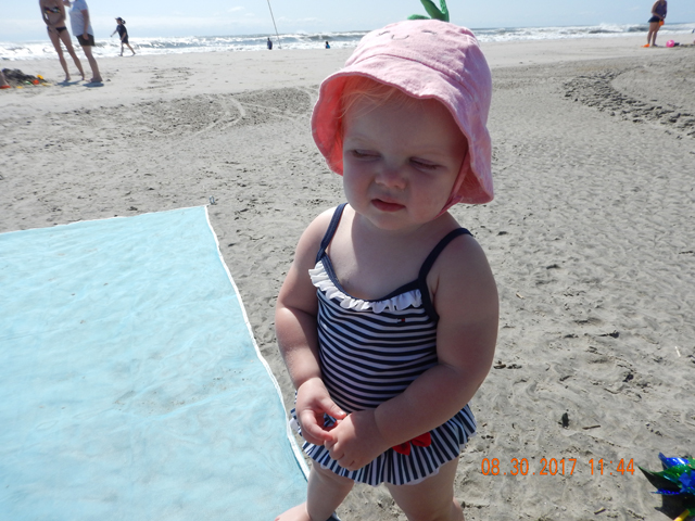DSCN2471.jpg -                                