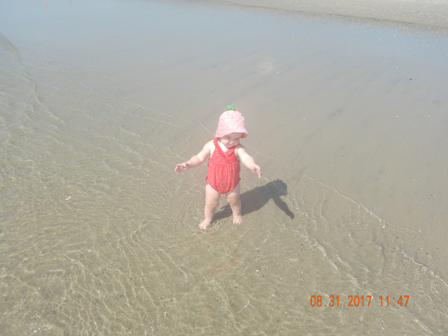 DSCN2513.jpg -                                
