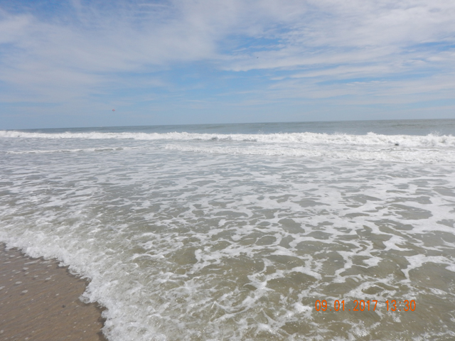 DSCN2526.jpg -                                