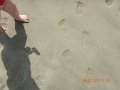 DSCN2407