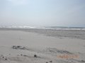DSCN2433