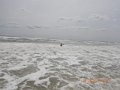 DSCN2442