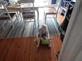 DSCN2446