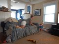 DSCN2449