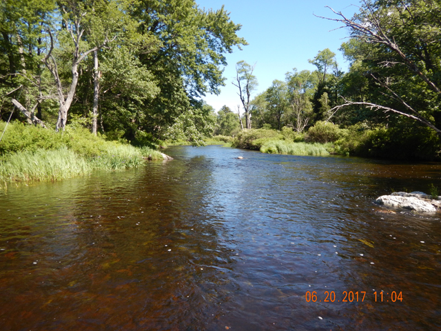 DSCN2124.jpg -              The Tobyhanna in the Delayed Harvest section. Looks good but, alas, no trout.                  