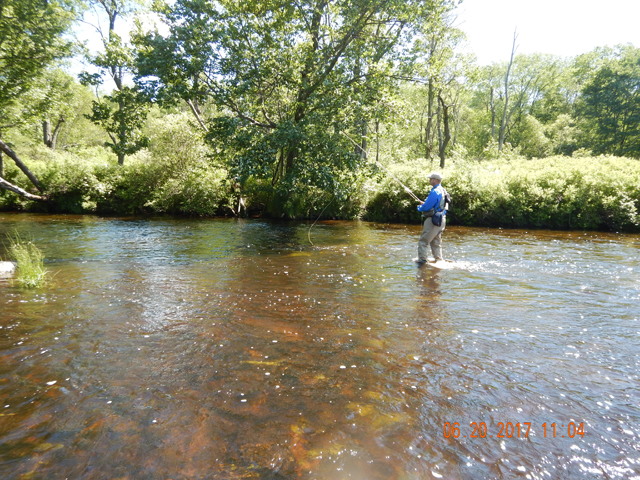 DSCN2125.jpg -                                T'was the day after a bunch of T-Storms so I cant tell if this is the normal water level or not.