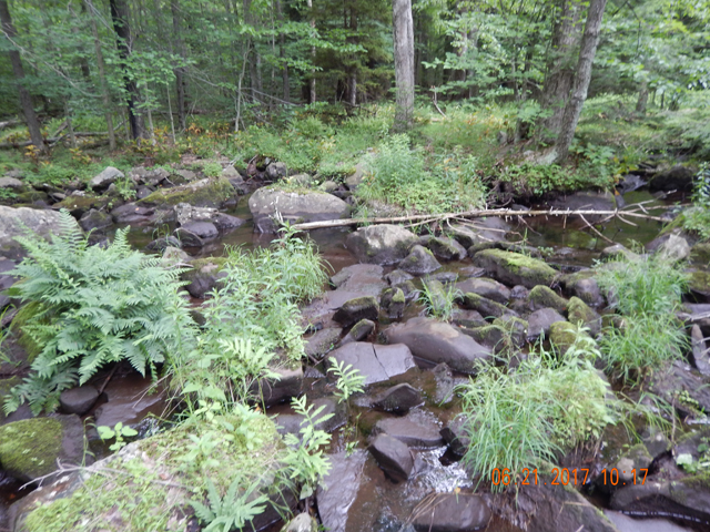 DSCN2142.jpg -                                Following day we went to Singer Run and this is what we found....nothing.  The Fish Commission says this is a wild trout stream.  Perhaps, but not here!