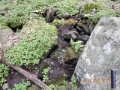 DSCN2143