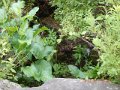 DSCN2145