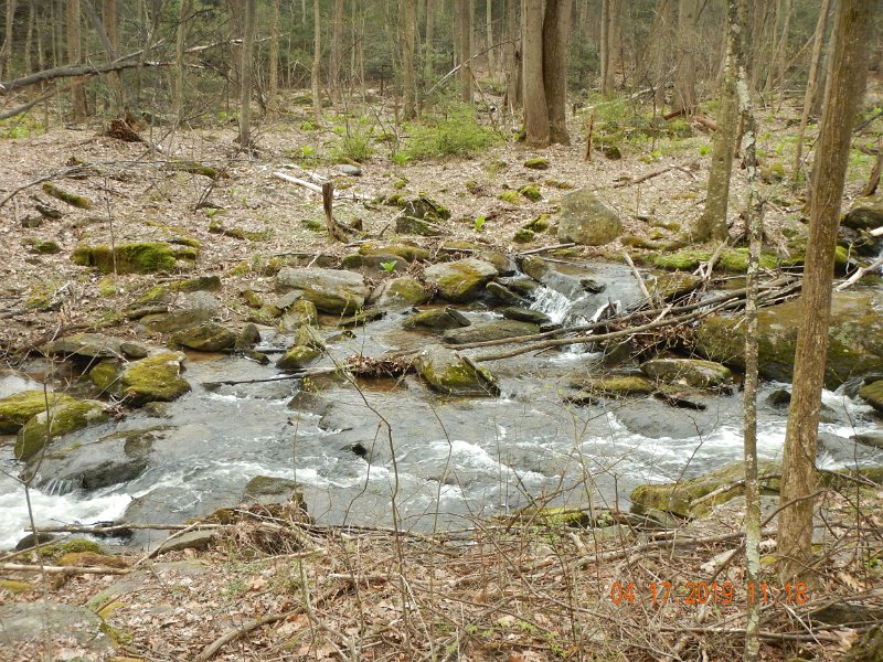 $TomsRun001$.jpg - This is a beautiful stream but alas, no fish.  I visited this stream a couple years ago and it was just a trickle. Maybe the water we are seeing now is just runoff from recent heavyrains storms.