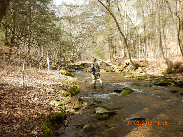 DSCN0991.jpg -                                Trout Run is a beautiful stream but the wind was blowing and a serious front was quickly approaching.