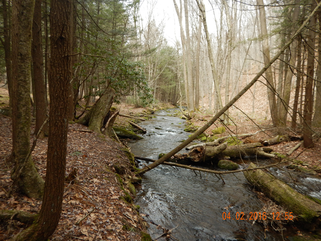 DSCN1000.jpg -                                Surprisingly the water was a bit low for this time of year.  The bugs in this area are about 3 weeks ahead.