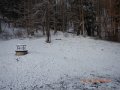 DSCN1006