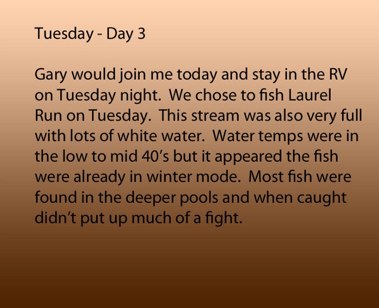 TuesdayDay3.jpg