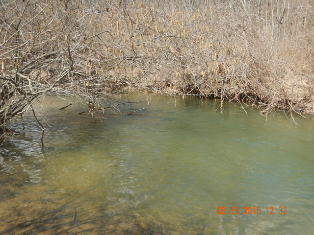 DSCN0868.jpg -                                Here is the hole the trout came from.  Couldn't see the bottom.