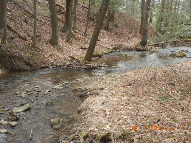 DSCN0875.jpg -                                But, the stream is beautiful.  Small runs punctuated by deeper pools.  