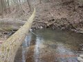 DSCN0873