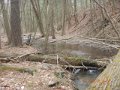 DSCN0874