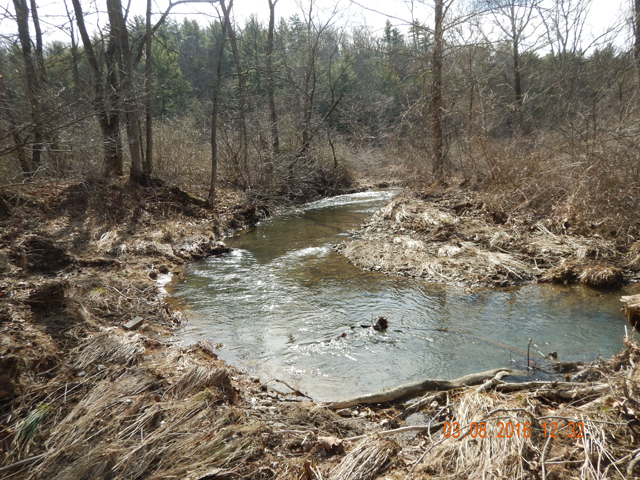 DSCN0847.jpg -                                Banks of the stream were covered in briars making access difficult for most of the stream we fished.