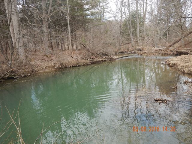DSCN0853.jpg -                                Got the bigger one from this hole.  Only took a cast or two here but I gotta believe there were more fish in here.