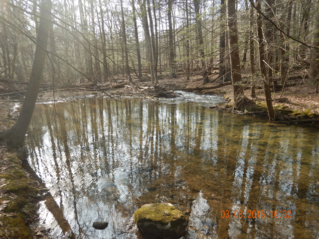 DSCN0861.jpg -                                Here's where the junk fish came from.  The little run on the right side of the pic has been know to produce some beautiful brookies.