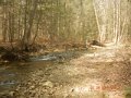 DSCN0859